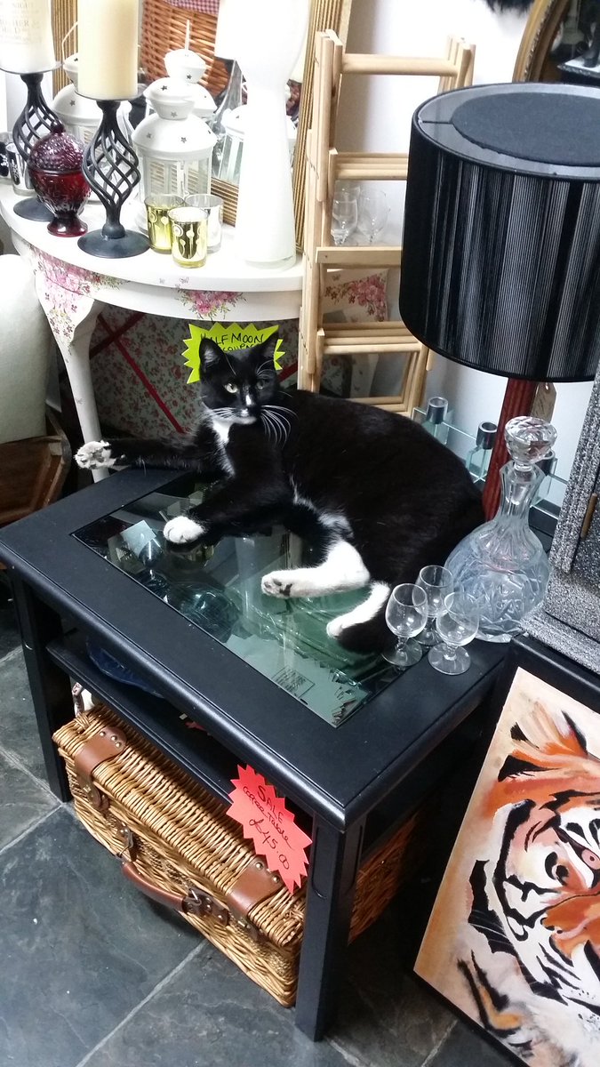 Check out Toots the Cat, he likes it here so much, he hangs here every day, Welcome to Tooting Market Toots #tootingpress #tooting #balham