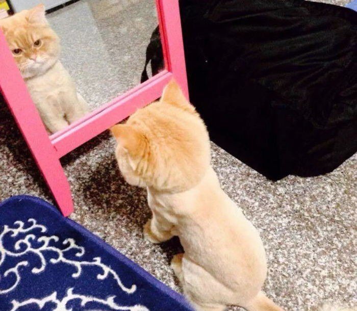 pinkar9's tweet image. มึงทำอะไรกับกูอีมนุษย์