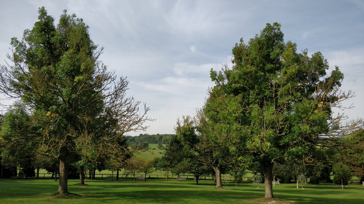 A M Lane Limited tweet media