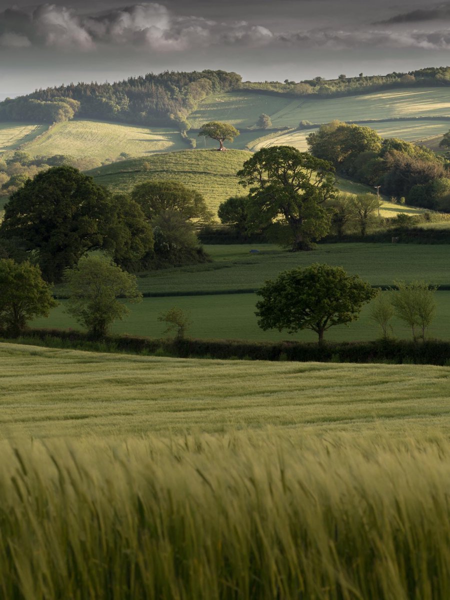 VisitDevon's tweet image. It may rain here occasionally, but these are the rolling green hills that we get as a result ❤️pic c/o We Love England, on Fb #OMGB #Devon
