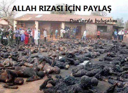 filiz175's tweet image. #Arakan 'da Müslüman diri diri yakılıyor gördükleri vahşet karşısında dayanacak güçleri kalmadılar artık deliriyorlar..
#ArakanınSesiOl