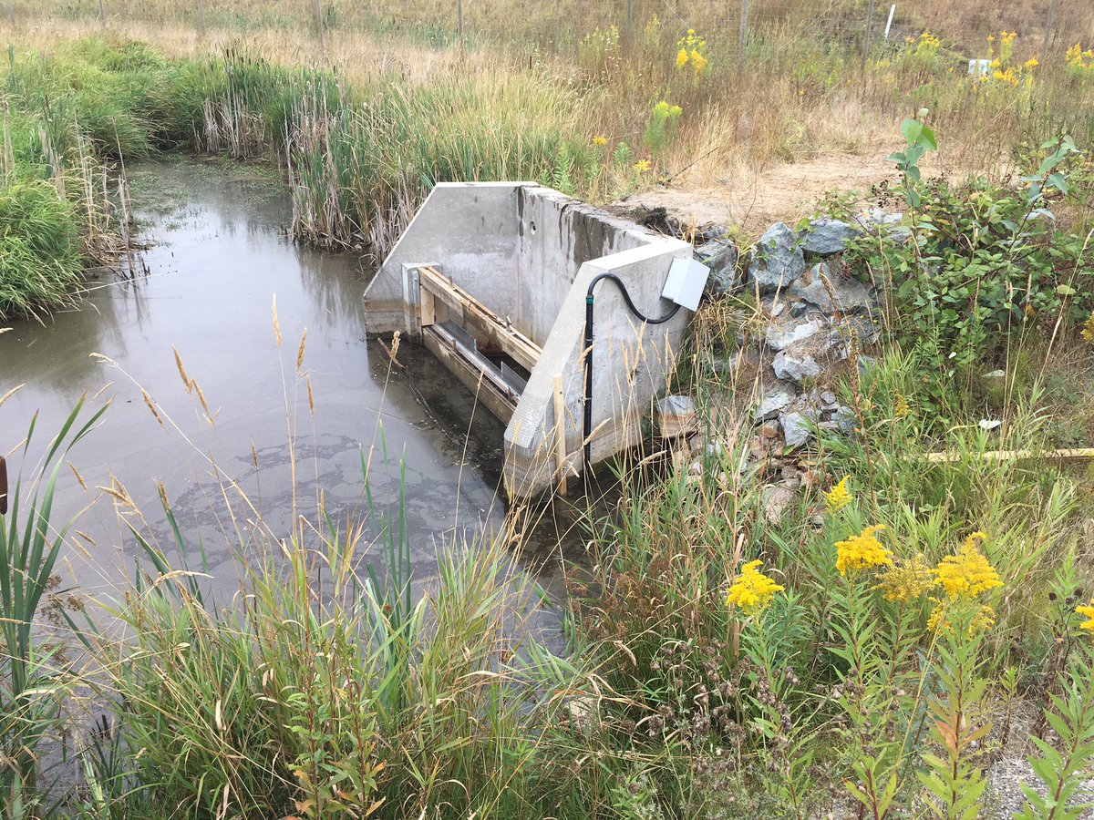 RainToRiver's tweet photo. Streamflow monitoring in Burns Bog. Just finished all the weir installations. https://t.co/OuGVLh1L5D