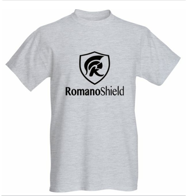 RomanoShield's tweet image. 