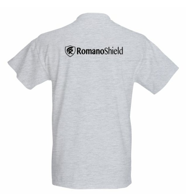 RomanoShield's tweet image. 