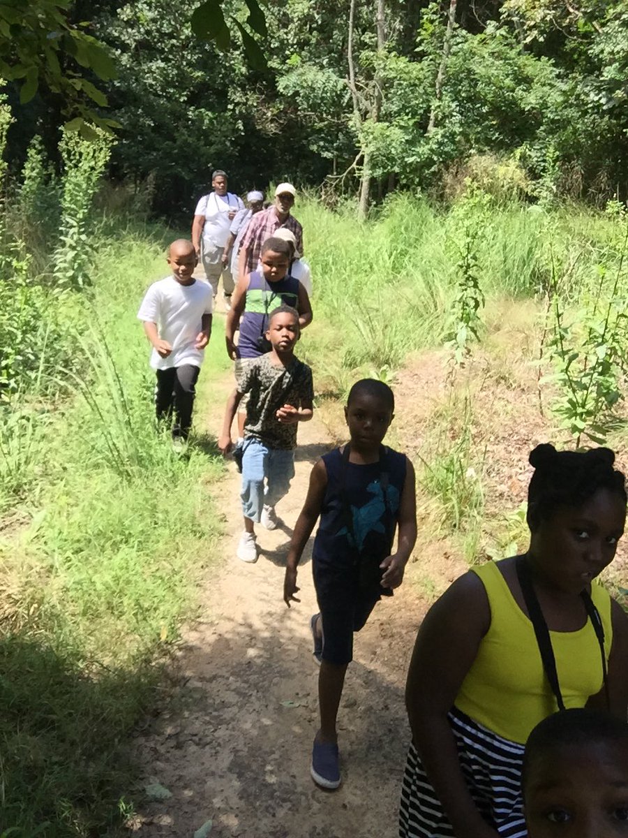 StrawberryMansion LC tweet media