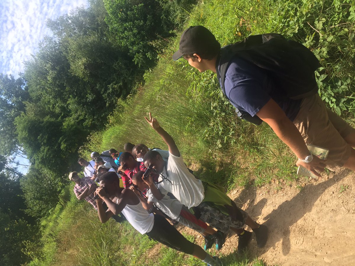 StrawberryMansion LC tweet media