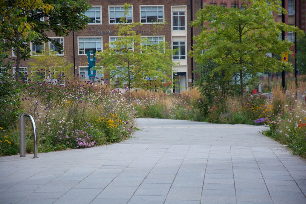 NigelDunnett's tweet photo. Sheffield Grey to Green scheme - mixed perennials, shrubs and trees, planted in aggregate substrate along urban street for 500 metres length https://t.co/mb5qHw8667