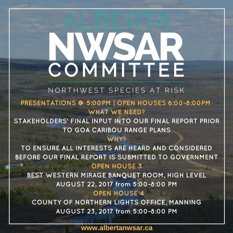 CofNLights's tweet photo. Join us tonight at 5:00 PM @CofNLights to hear an update on the draft report from the #NWSAR committee. https://t.co/QoyZVgjk78