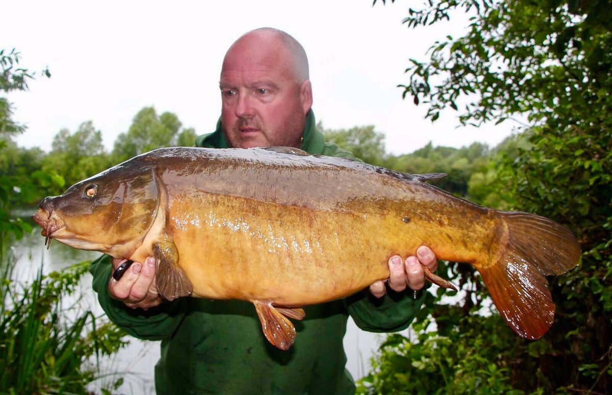 UltimaCarp's tweet image. Check this Cambs cracker out Woolys lake 8 Leather 26.12 using 14lb Pure Power #fluorocarbon
ultimauk.com
@First4Fishing
#Amazon