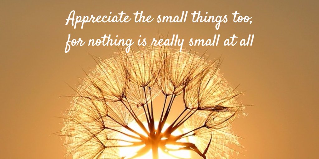 Appreciate the small things too, for nothing is really small at all