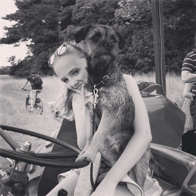 bordermanstan's tweet photo. Fun day at #holkhamestate 🐶🚜🛶🐾🏖 #borderterrier #bordermanstan #dogsoftwitter #dogsofinstagram #holkhamfieldtofork #rowingdog #stanthefarmer https://t.co/1FzHs72kKL
