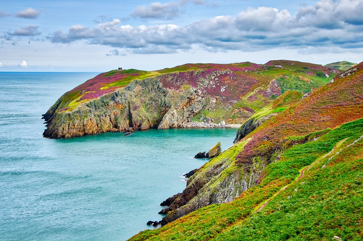 angleseydigital's tweet photo. If you love purple then walk along the #Anglesey coastal path soon @WalesCoastPath @DerekTheWeather https://t.co/rIzbS5CZ6J