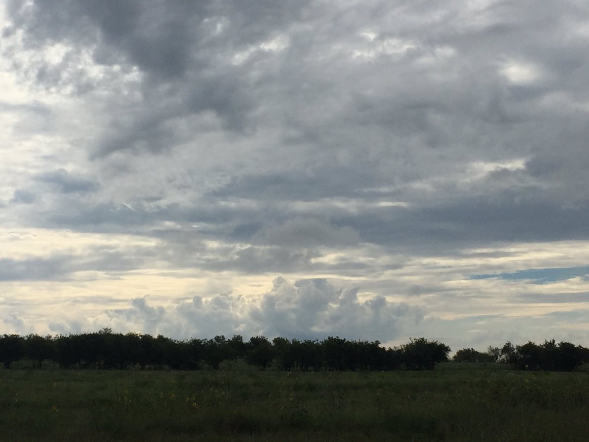 missweeos's tweet photo. It looks like whipped topping to dip strawberries in...or am I just hungry? @CTMSBulldogs #cloudwatching https://t.co/iwAb4vsv1E