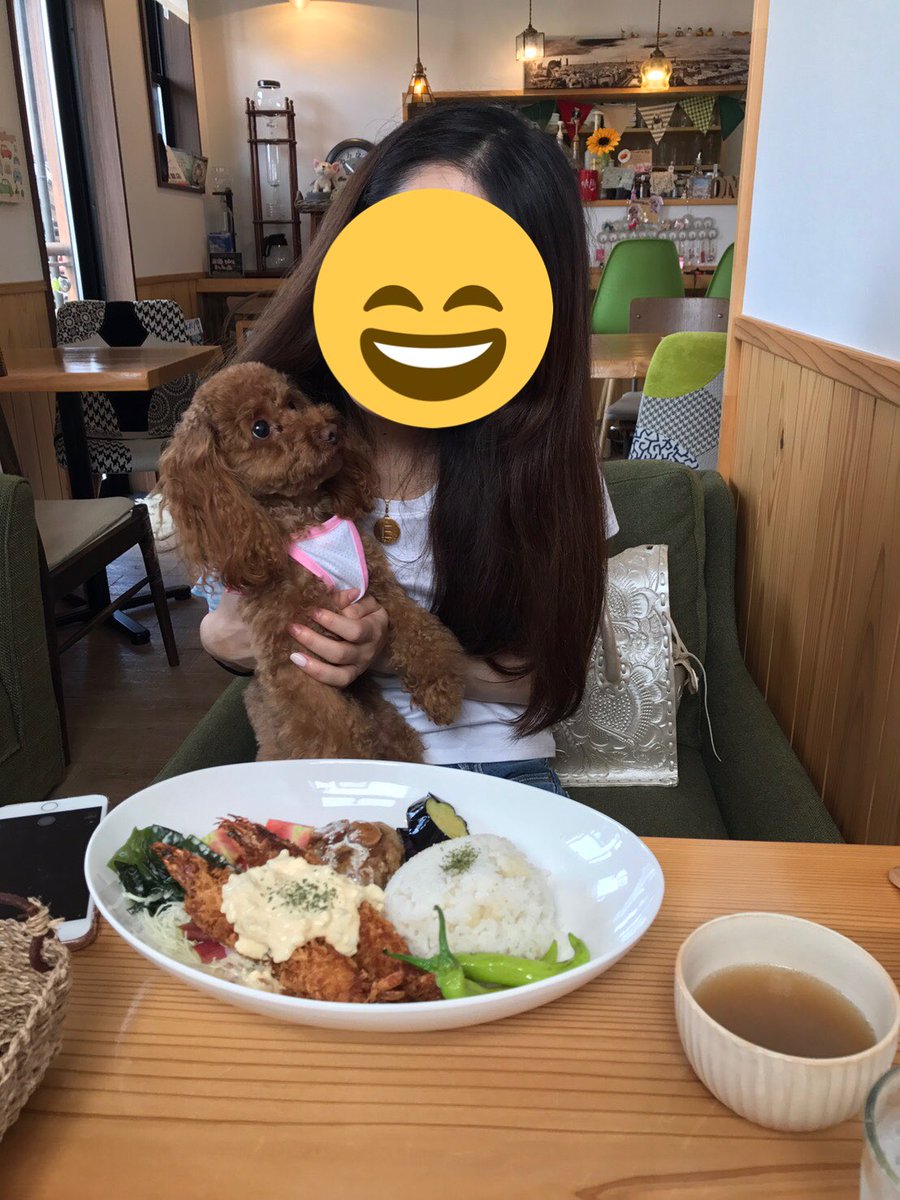 moa704 tweet picture