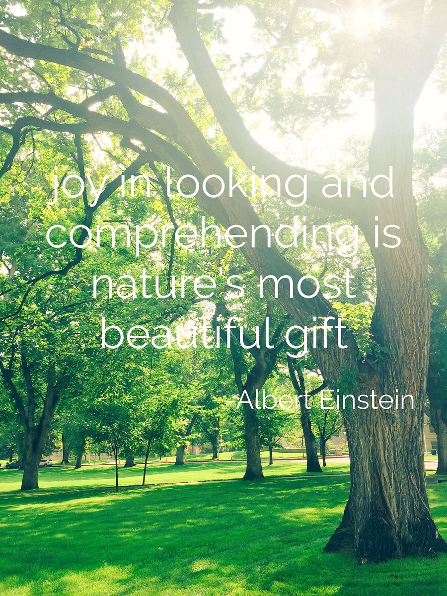 CSUNaturalSci's tweet photo. #WednesdayWisdom: "Joy in looking and comprehending is nature's most beautiful gift." -Albert Einstein
@ColoradoStateU #WelcomeBackRams https://t.co/Ockas7nNyD