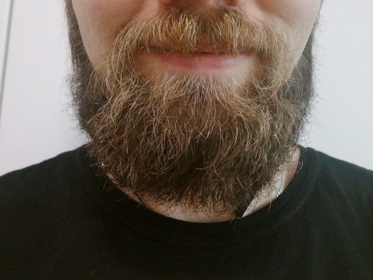 Only1Thor's tweet image. @jupitersignal this beard agrees with the beard #askerror #withthebeard