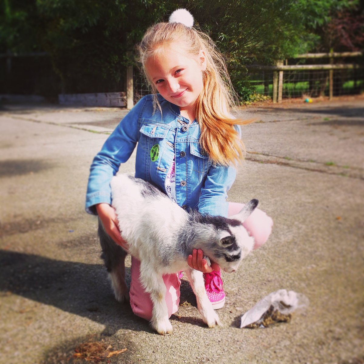 Bounce on over for a cuddle #NoKidding! farmerparrs.com/times-prices/ @visitlancashire @discoverwyre <a href="/visitfyldecoast/">visitfyldecoast</a>