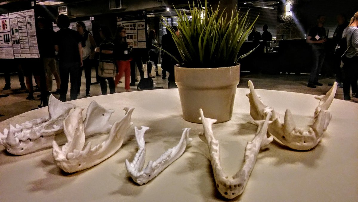 the_Node's tweet photo. #evodevo17 was a blast scientifically, socially, astronomically, paleontologically! Thanks @EvoDevoPanAm!
We'll meet again at #evodevo19 https://t.co/yADEfZIjnt