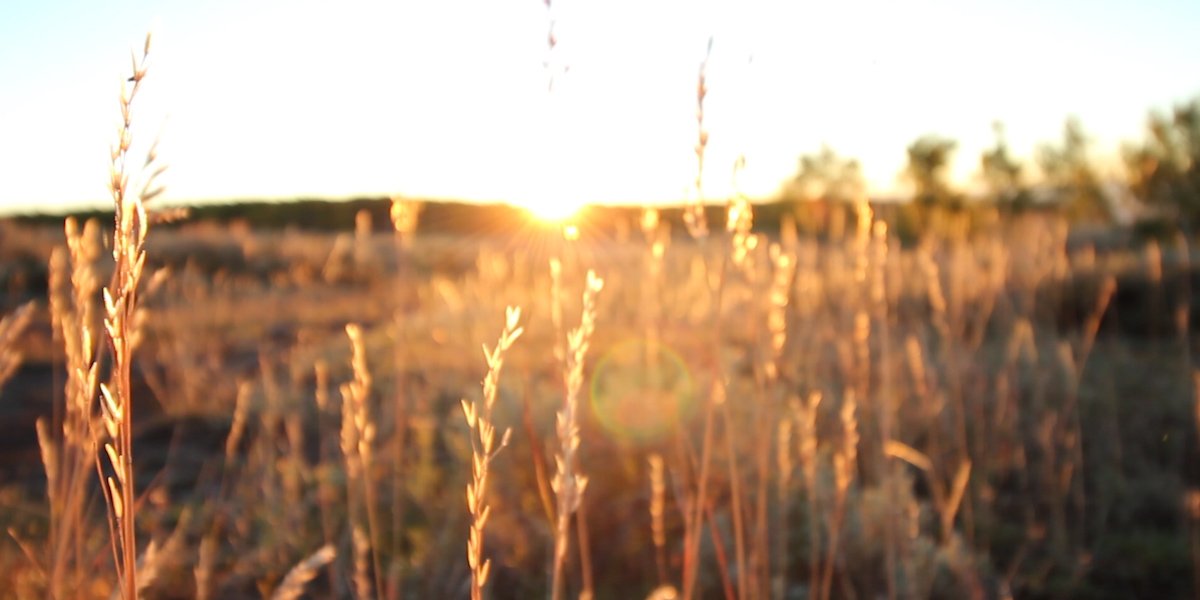 WildAirTV's tweet photo. Life is better with some fresh air and vitamin D. #wildairtv #freshair #getoutside #nature #sunshine #outdoors https://t.co/c62x8EaykF