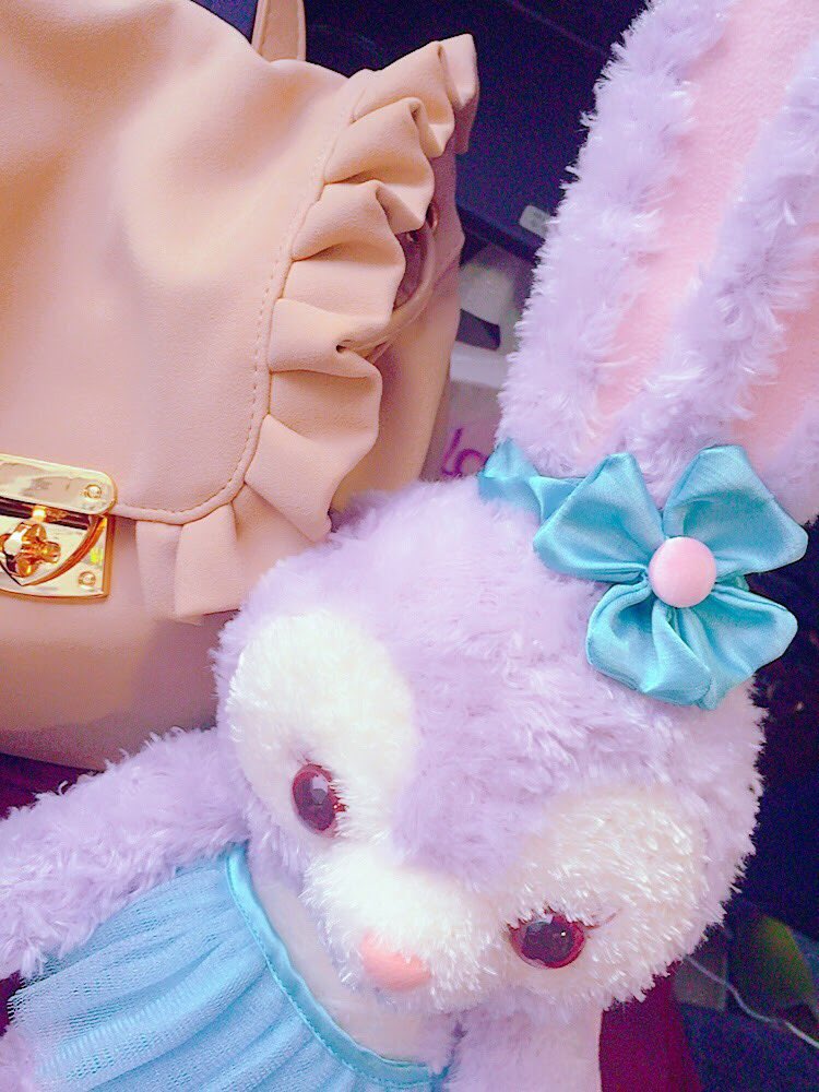 __d_s_g's tweet photo. そういえばルーちゃんお迎えしました♡♡♡ https://t.co/2OUWNfwiOn