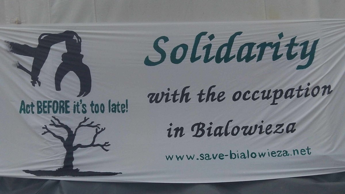JusHambi's tweet photo. #Solidartity #Transparent for #PuszczaBialowieska #Bialowieza #Puszcza #Forest against #Szyszko #Deforestation from #KlimaCamp #resist https://t.co/WJj93xHp1T