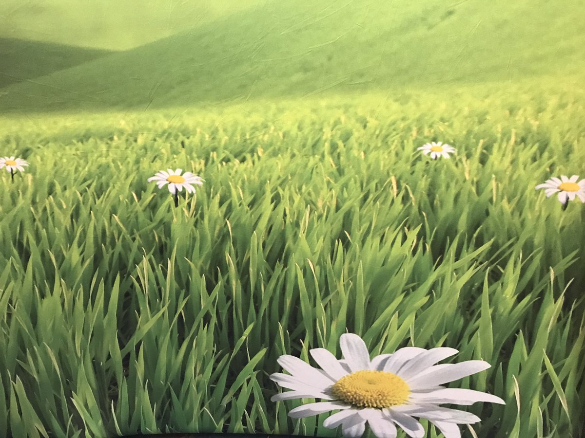 rachandlily's tweet photo. Come visit this booth, tweet your picture, and be entered to win!  #COGAConnect #COGA2017 https://t.co/JqdJzU92zR