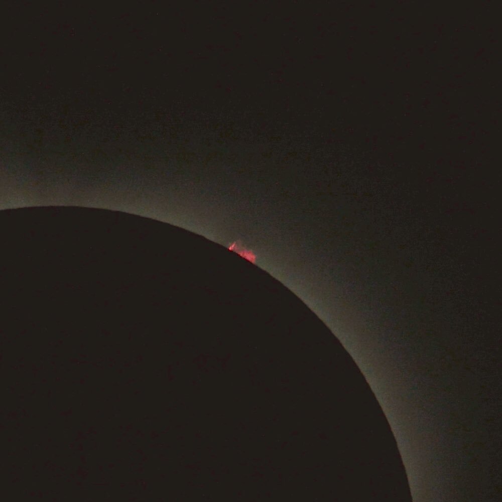 Ryan Milligan (ryanomilligan) Twitter