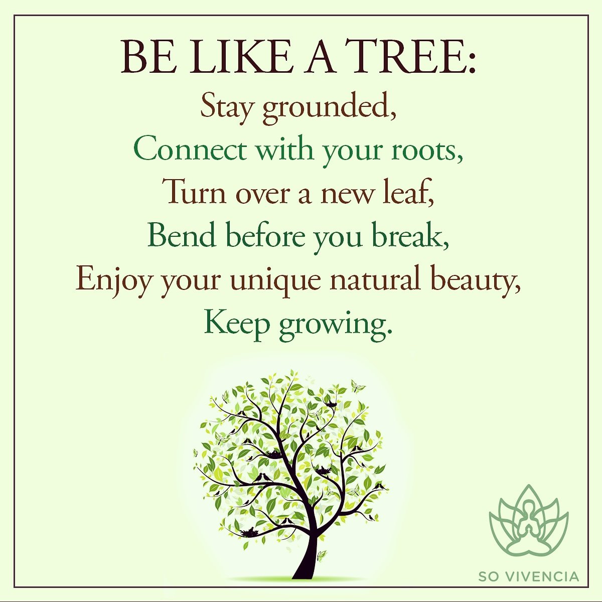 Be like a #tree Stay #grounded Keep #growing 
#inspiration #quote #wisdom #meditation #growth #nature #lifequotes #presentmoment