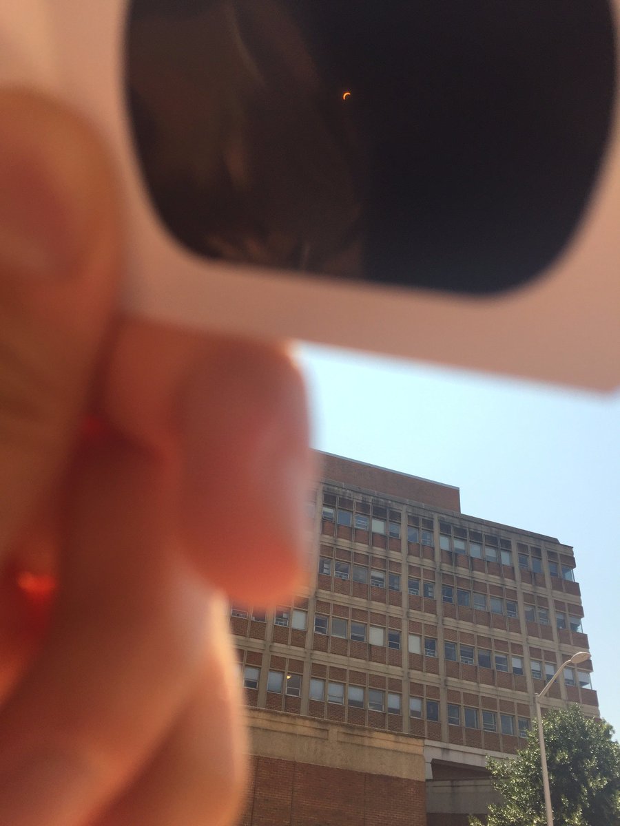 Bautch Lab tweet media