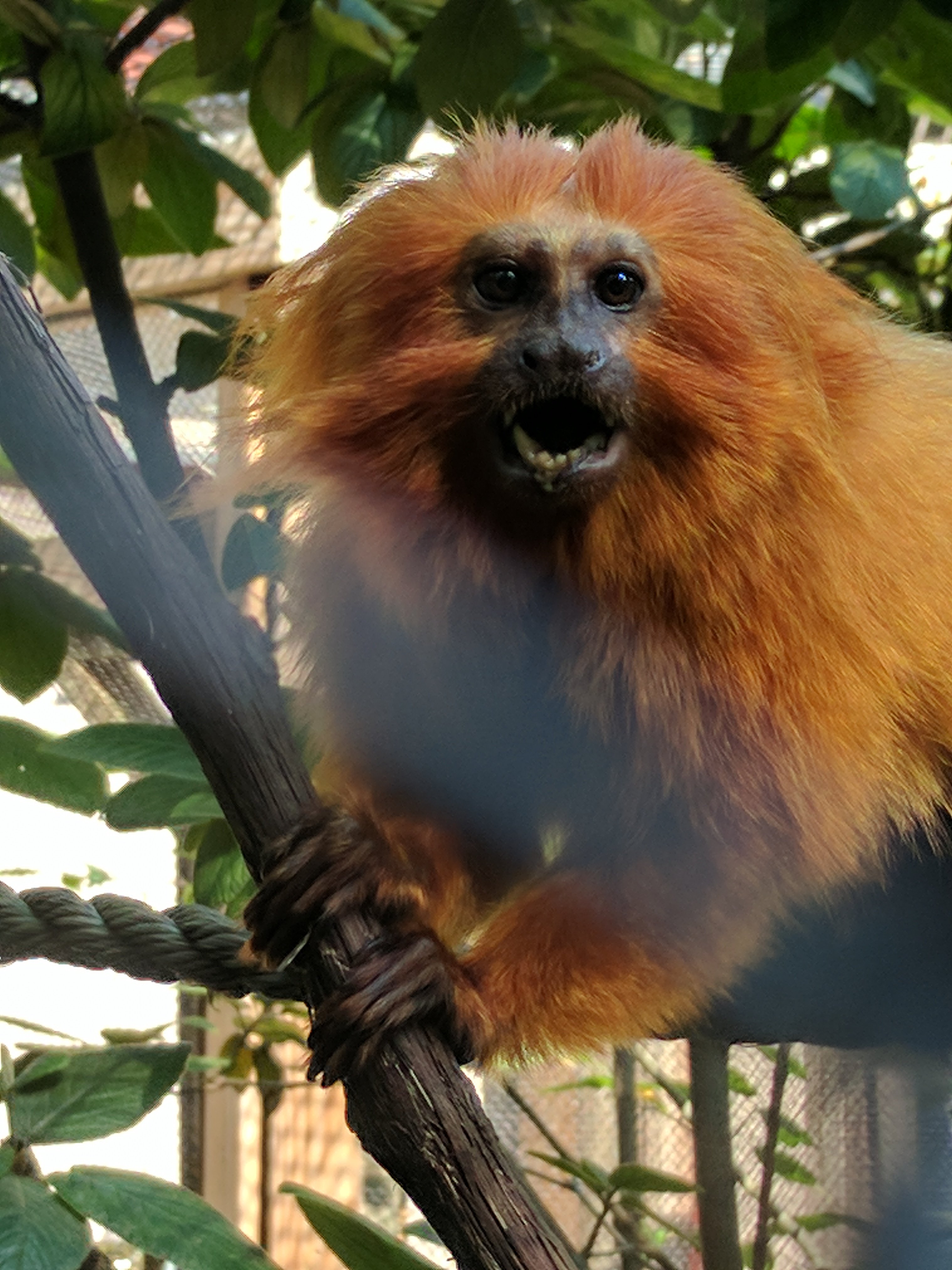 bergencountyzoo (@bergencountyzoo) / Twitter