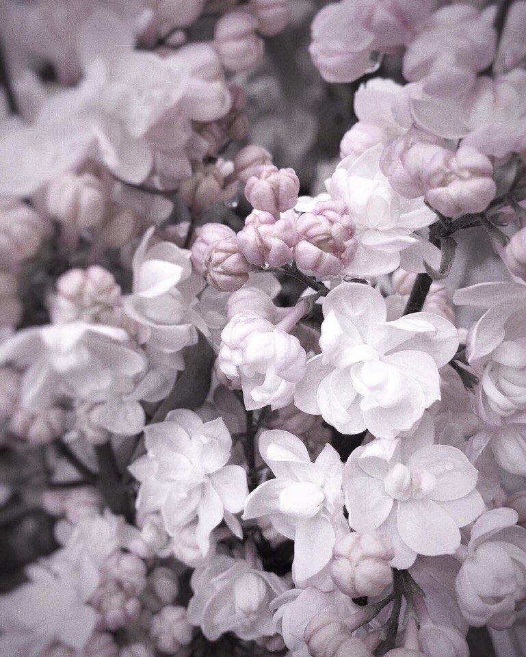 tori_clouds's tweet photo. Специально для 
Необыкновенной 
♡@Dreamer5Valeria♡
От @tori_clouds https://t.co/rQO0rbGBUR