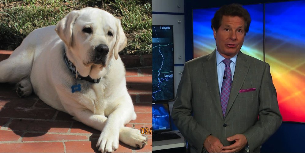 Meteorologist Dave Murray has a sad update about ‘Sky’ | FOX2now