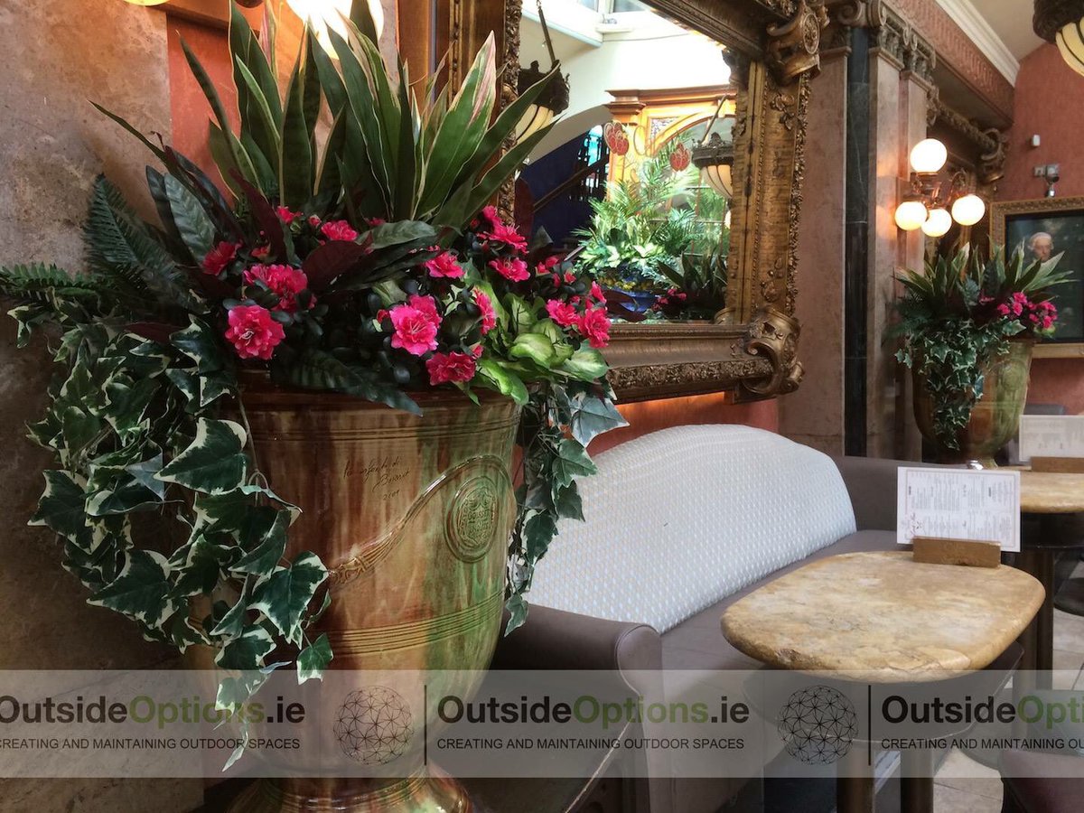 OutsideOptions's tweet image. This plant fit-out was recently completed at Cafe En Seine, Dublin City Center. 
outsideoptions.ie