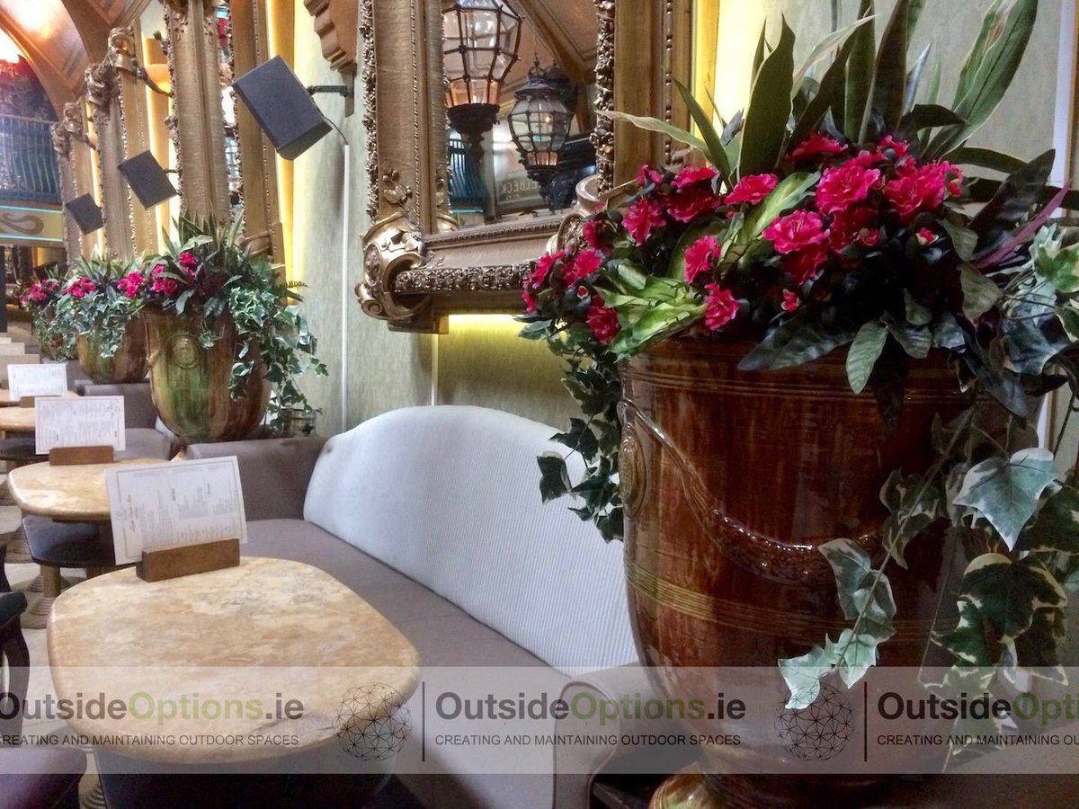 OutsideOptions's tweet image. This plant fit-out was recently completed at Cafe En Seine, Dublin City Center. 
outsideoptions.ie