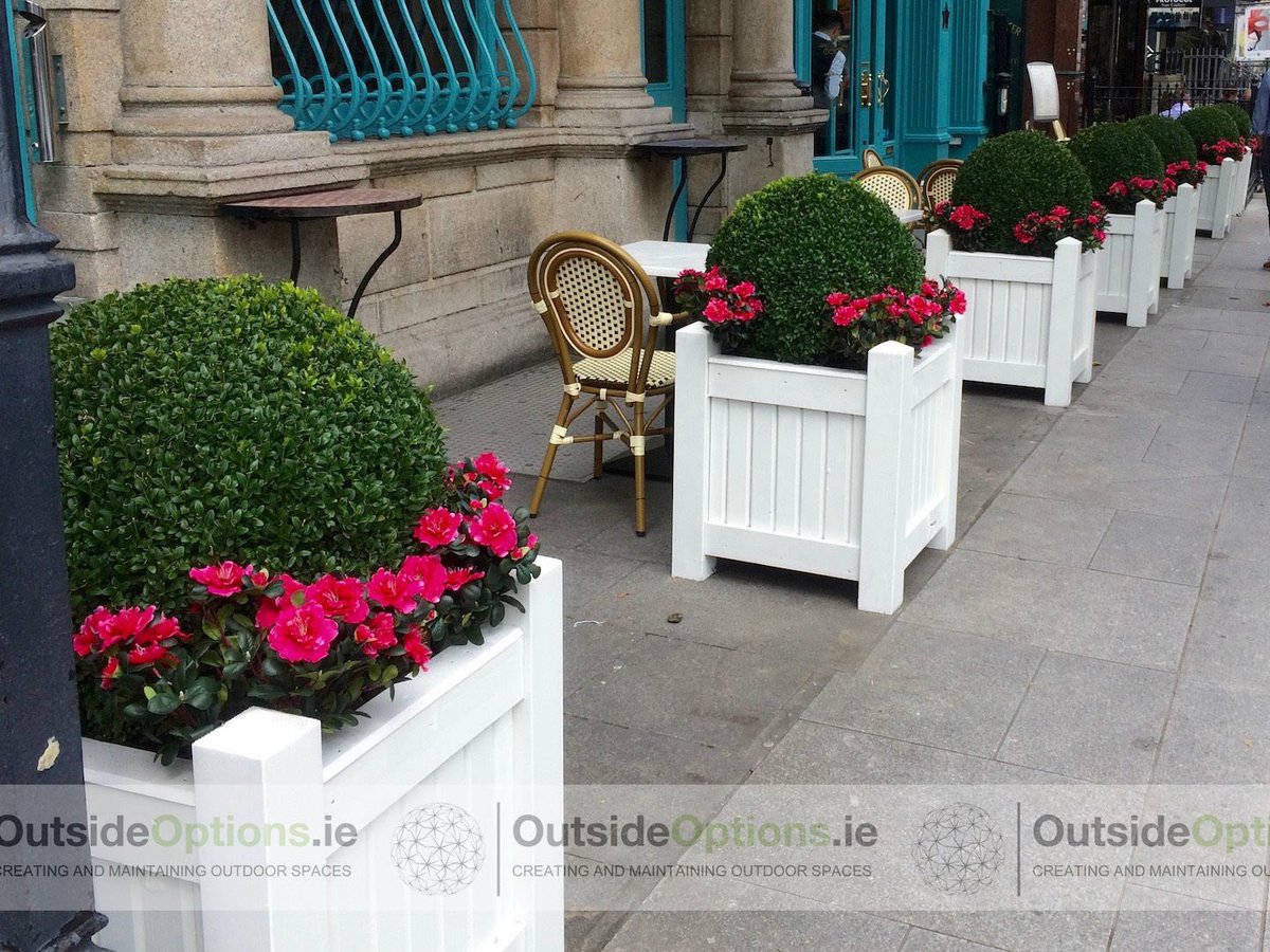 OutsideOptions's tweet image. This plant fit-out was recently completed at Cafe En Seine, Dublin City Center. 
outsideoptions.ie