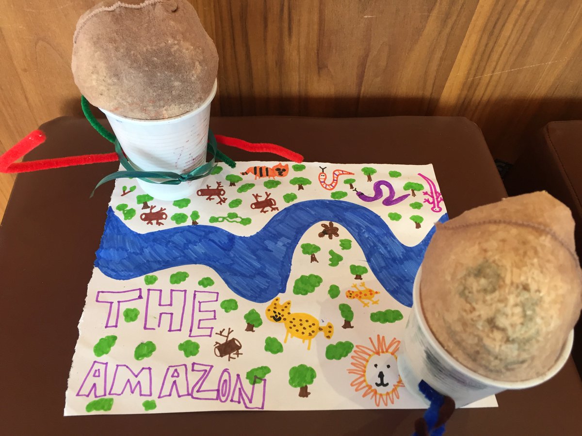 ActivateCamps's tweet photo. Nature Rockz today at Merchant Taylor’s. #ActivateMiniRangers Haven https://t.co/sxulv2qw8K