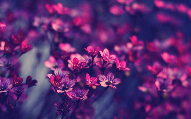 tori_clouds's tweet photo. Для малыша♡♡
@BabyTommo_24 
От @tori_clouds https://t.co/j1A3TH1PjO