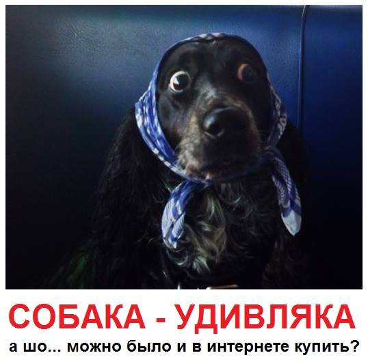 БЕРУ Магазин умных и полезных новинОК БЕРУ (095)7243428 (067)7677178 (050)6945115 (098)8877958 beru.com.ua