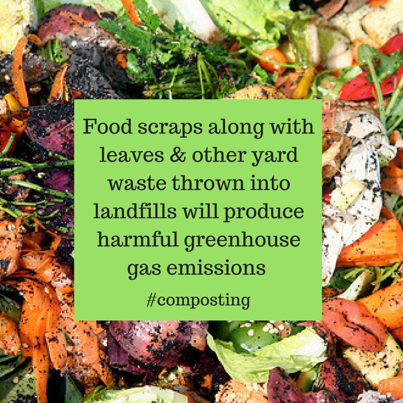 EcoSafeZW's tweet image. DYK - Combining yard waste &amp;amp; food waste with garbage in landfills will produce harmful greenhouse gas emissions 😮