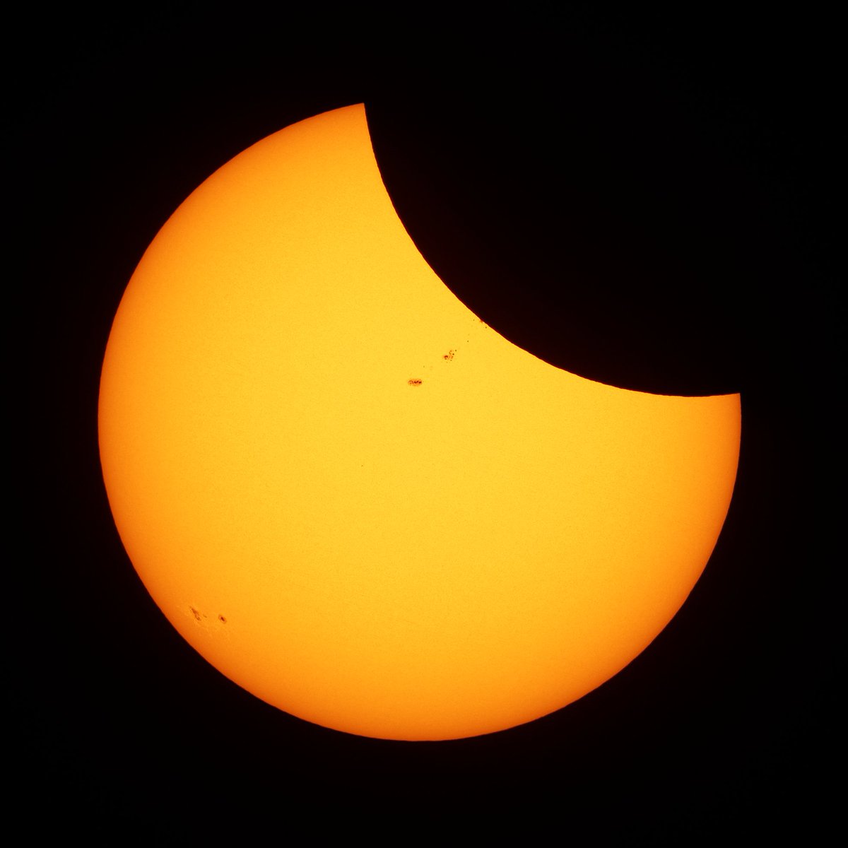 CoopsCamera's tweet image. Eclipse