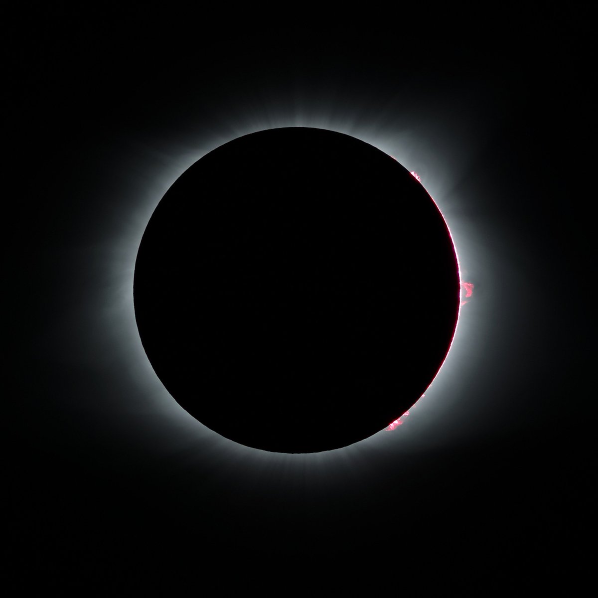 CoopsCamera's tweet image. Totality