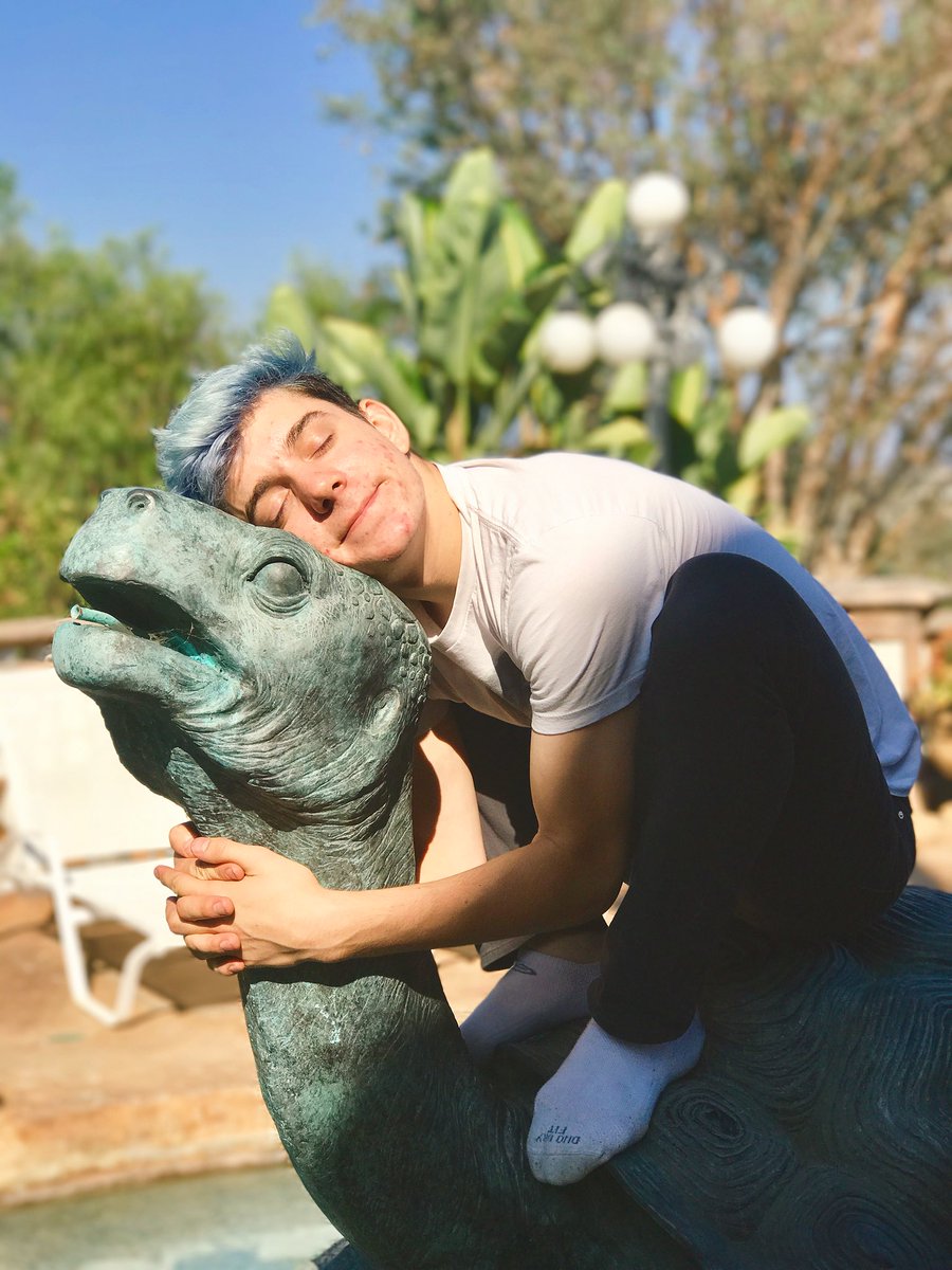 ethannestor's tweet image. This is Horace. Horace the tortoise.