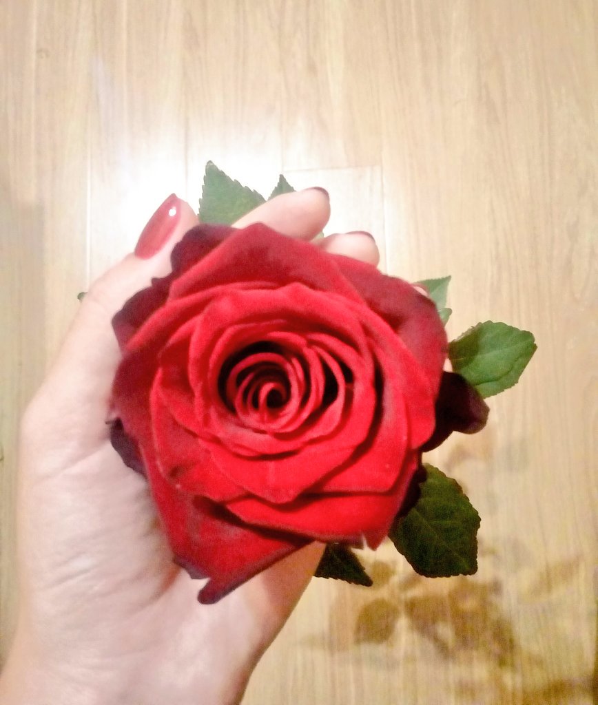 w_anela's tweet photo. Просто взял и приехал в 2 часа ночи, чтобы подарить розу ❤ https://t.co/Xvu88z7yTR