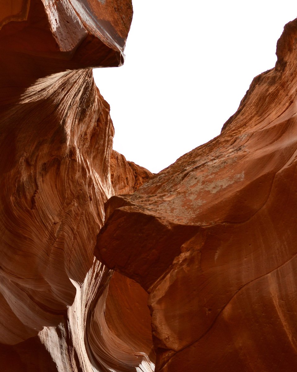 expsdcreative's tweet photo. Missing this special place today 🏜
•
•
•
#cozycanyon #canyonkids #expsd https://t.co/EcBrU9gm3W