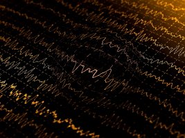 Study identifies brain networks which may be important for functions like planning, remembering  #brain crwd.fr/2xfVfrc