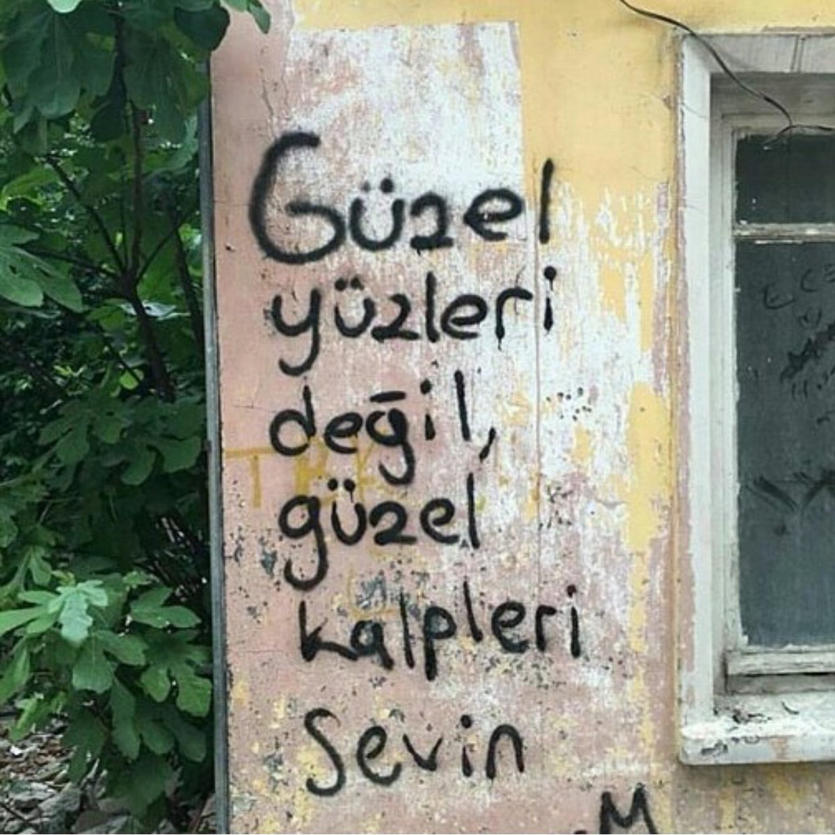 Bir sokak şairinin tavsiyesi.