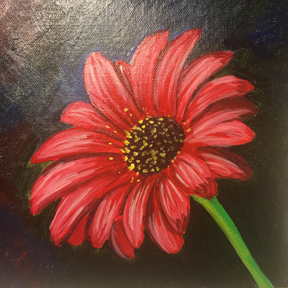 DDeniseGenova's tweet photo. #dosomethingyoulove everyday! 🎨#acrylicpainting #art #daisies #author #selfhelpjournal #beingaccountablethebook avail on #Amazon 📚🌸 https://t.co/4a4OWLDncY