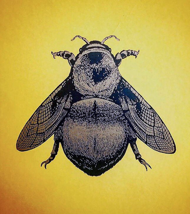 TheAuldBank's tweet photo. We have #sensational @TBeasties #wallpaper #grandthistle #napoleonbee #interiordesign #stylish https://t.co/CsnQQV8ZHq