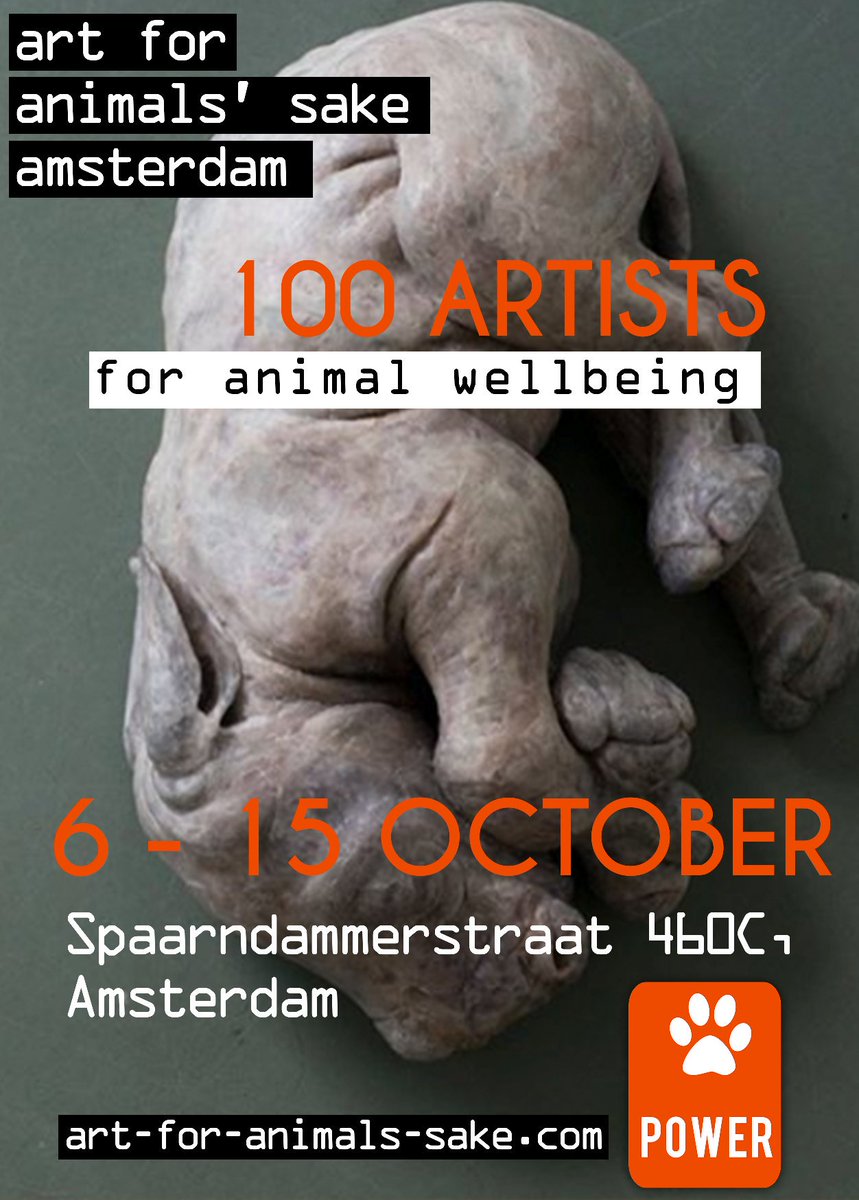 Art4AnimalsSakeNL tweet media