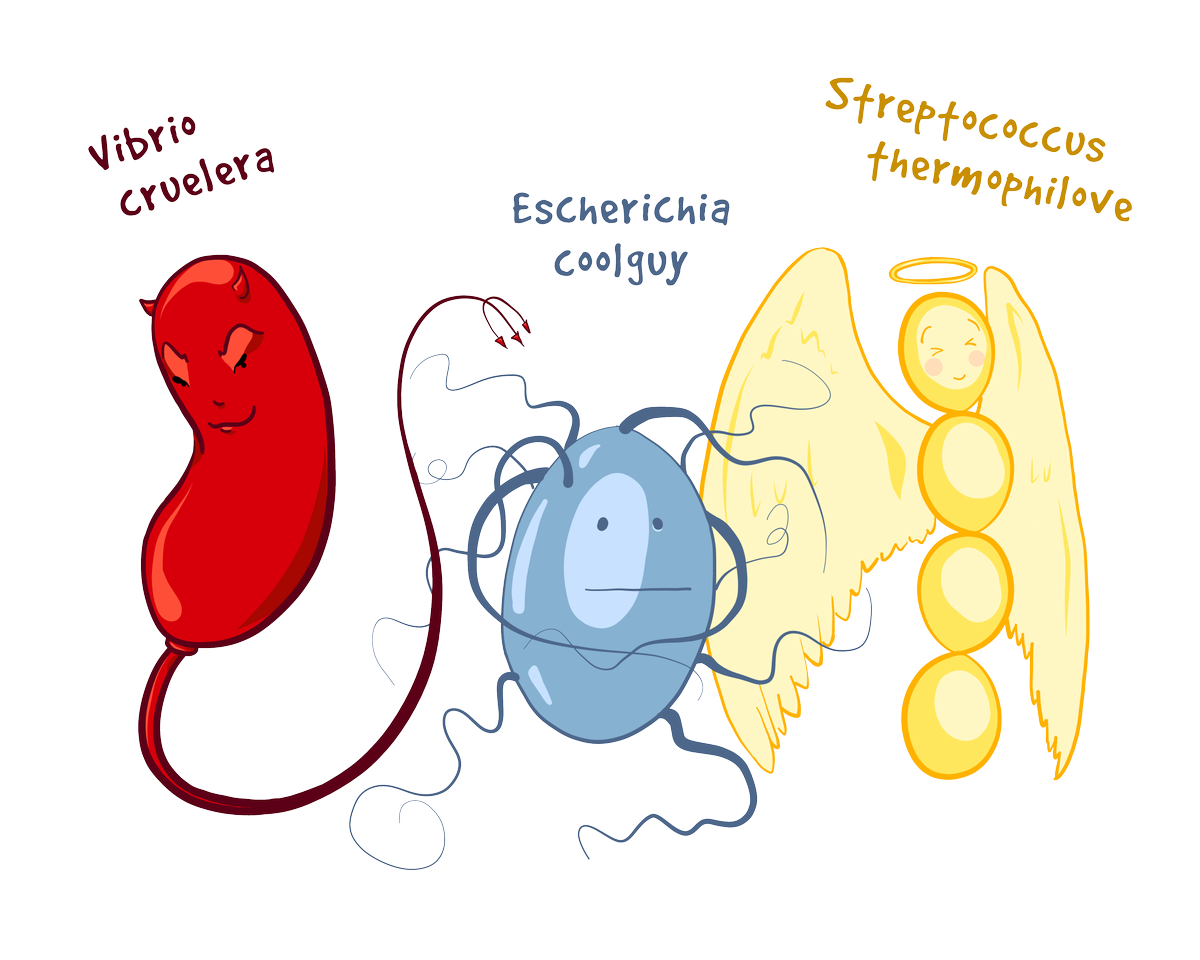 markowenmartin's tweet photo. I dislike #DevilMicrobe & #AngelMicrobe narratives. Most microbes couldn't care less. @vexedmuddler art FTW. @ASMicrobiology @univpugetsound https://t.co/JcC4PAmANs